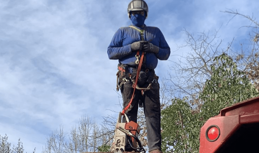Mady's Tree Care